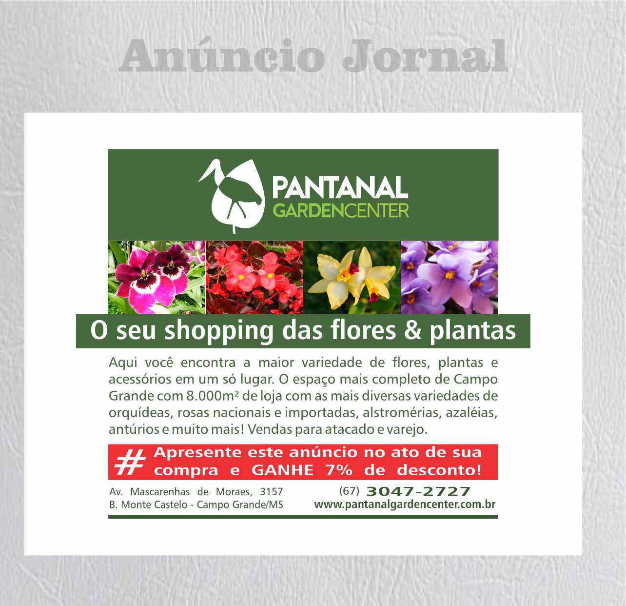 anuncio pantanal 1